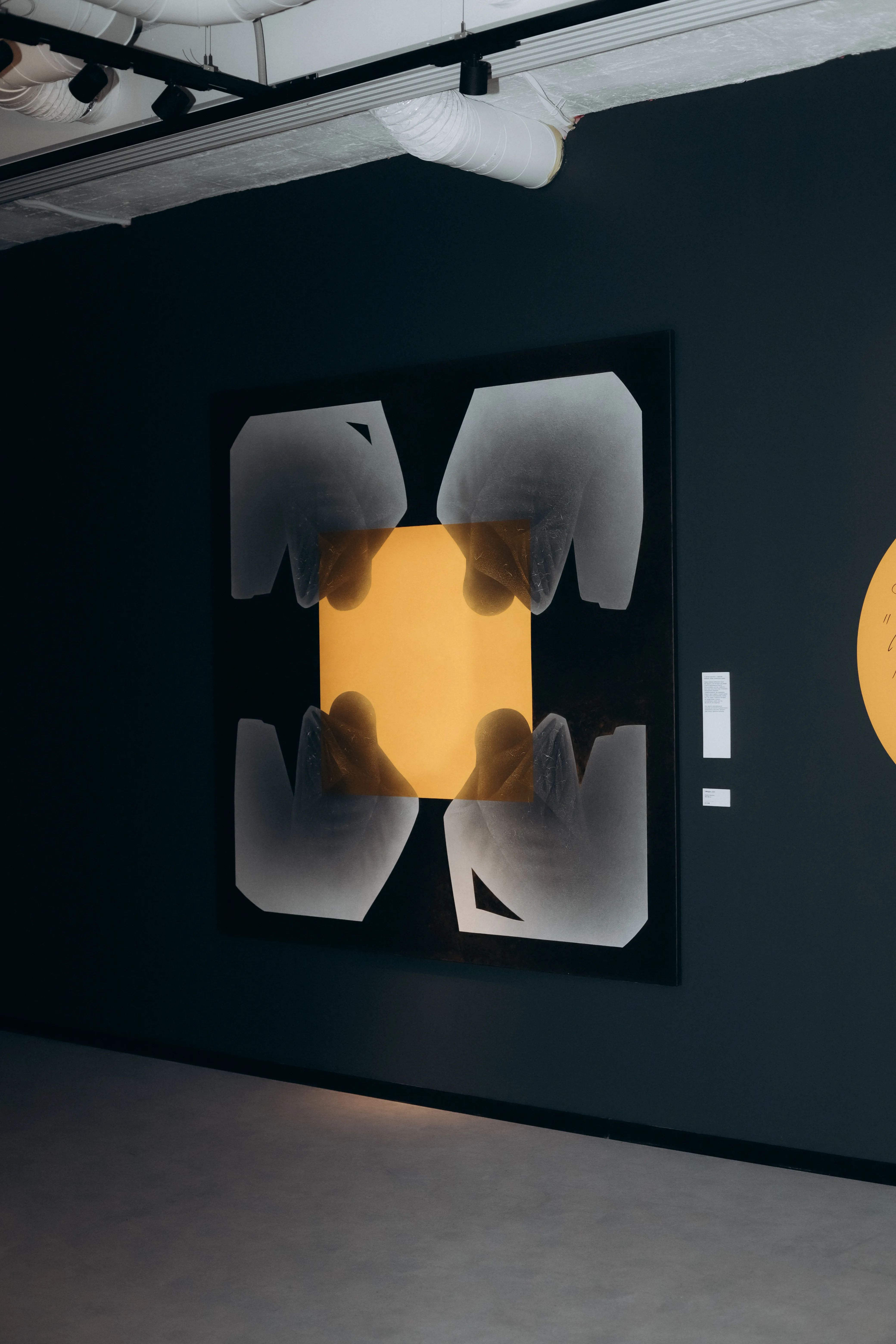 Фото до проєкту "ZAG ВІДЛУННЯ" від ДЕНИС ТИМЧИШИН, проєкт типу Виставки, базується у Львів, створено у 05.02.2026