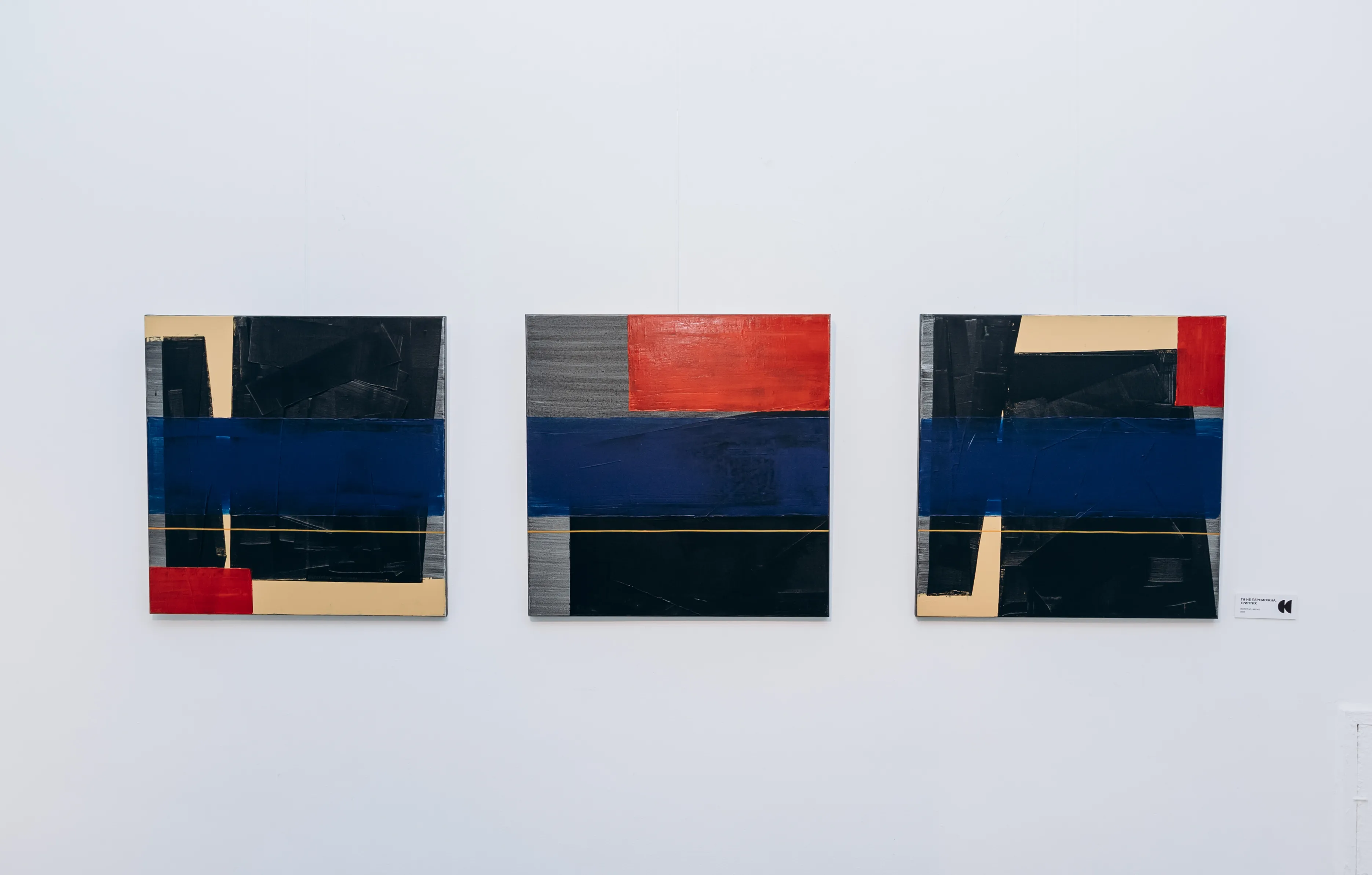 Фото до проєкту "НЕСВІДОМЕ ЧУТТЯ" від ДЕНИС ТИМЧИШИН, проєкт типу Виставки, базується у Львів, створено у 23.03.2026