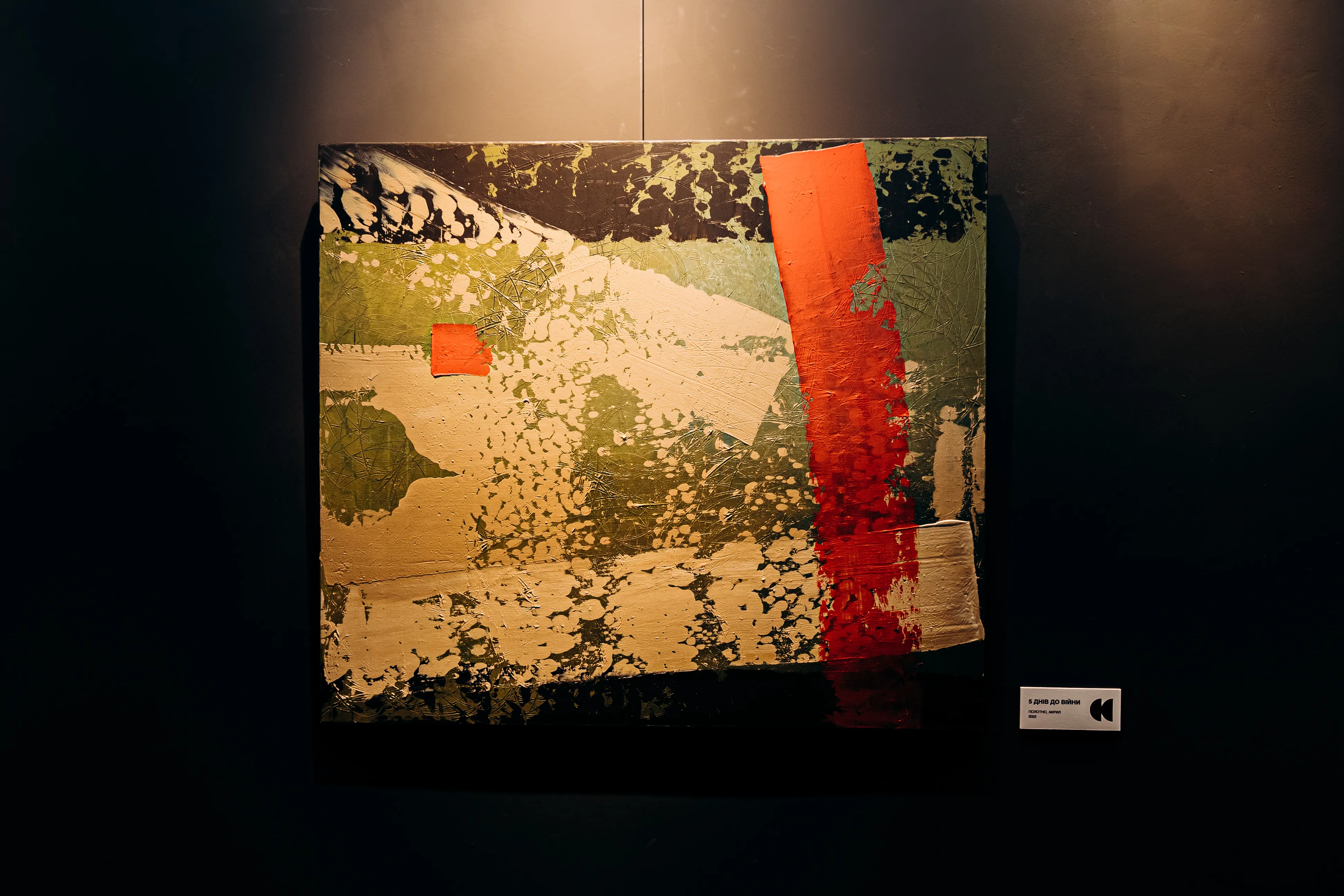 Фото до проєкту "НЕСВІДОМЕ ЧУТТЯ" від ДЕНИС ТИМЧИШИН, проєкт типу Виставки, базується у Львів, створено у 23.03.2026